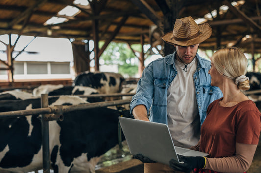 Why Many Direct-to-Consumer Farm Websites Struggle (And How to Fix It)